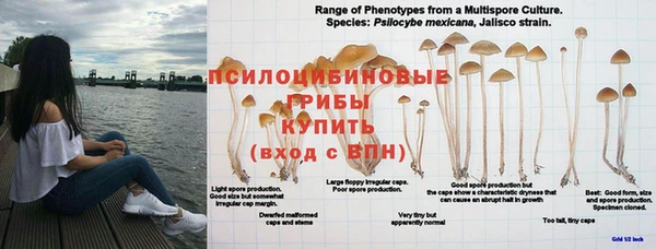 герыч Беломорск