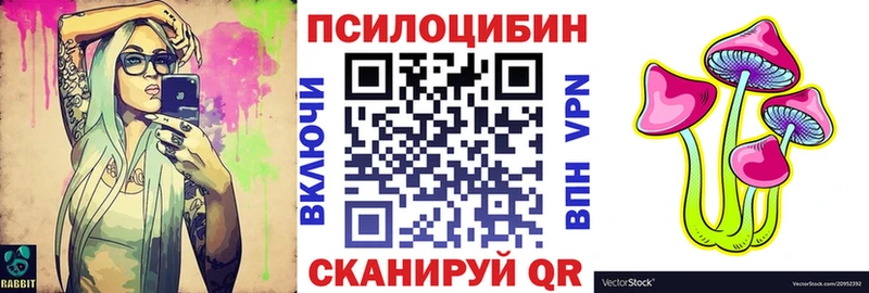 Псилоцибиновые грибы Cubensis  Дубовка 